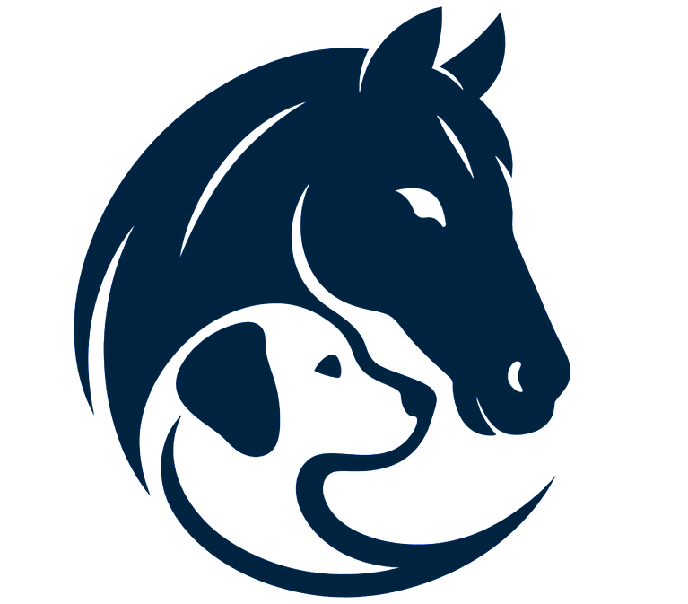 Camelot Equestian and Kennels